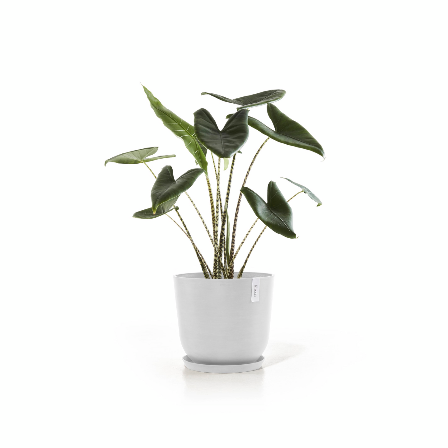 Ruukku Ecopots Oslo 45cm valkoinen