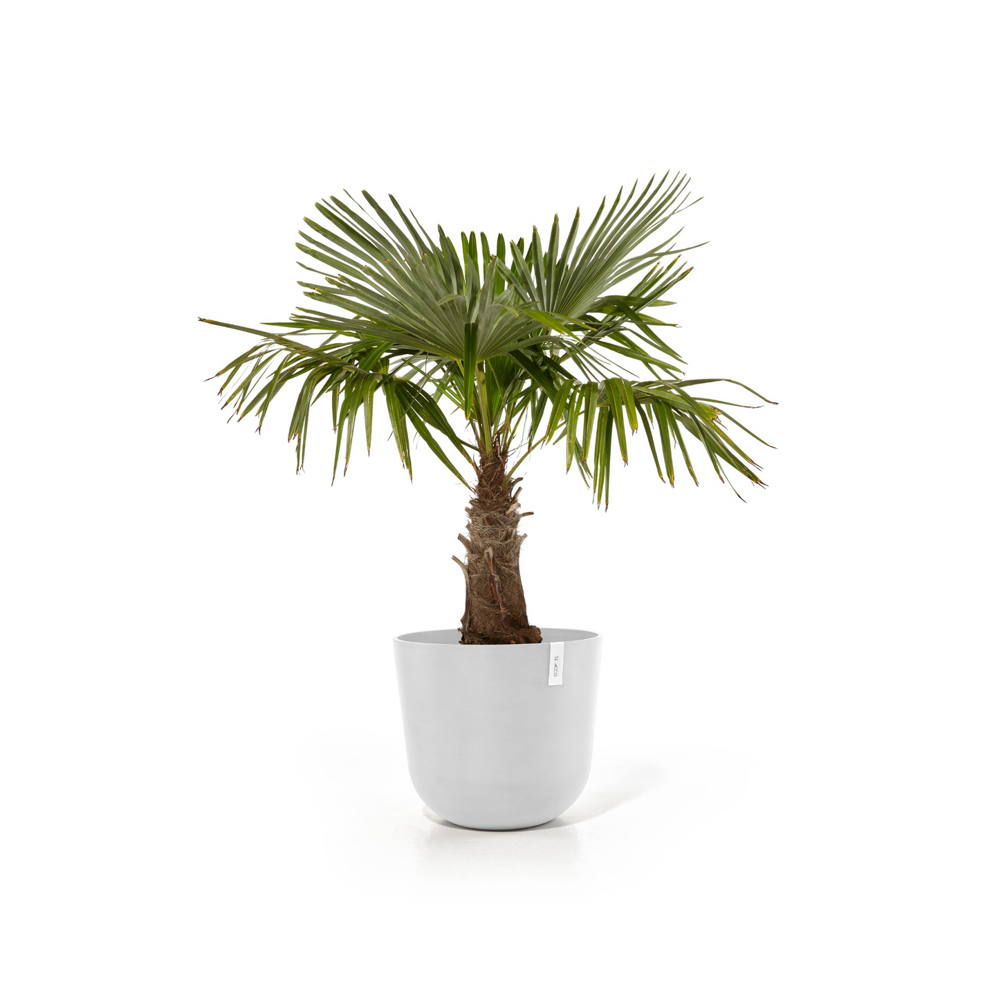 Ruukku Ecopots 55cm valkoinen