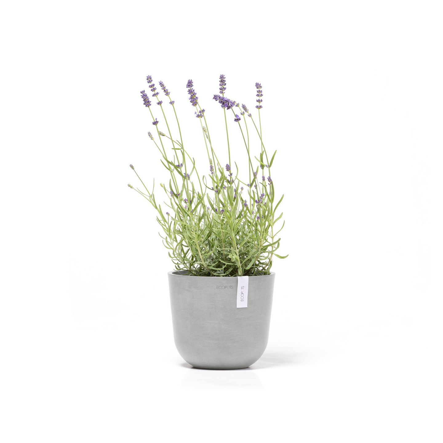 Ruukku Ecopots Oslo mini 19cm valkoharmaa