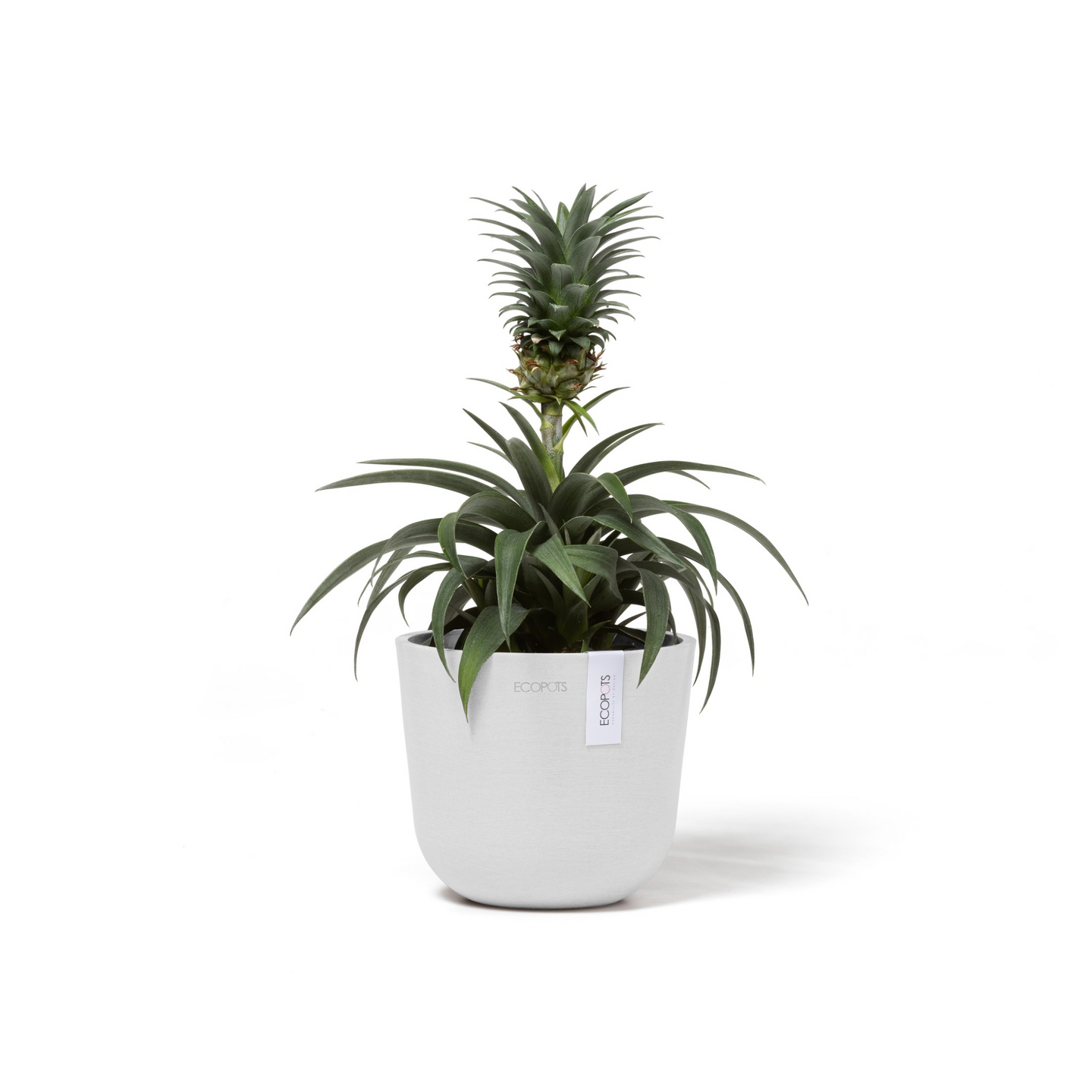 Ruukku Ecopots Oslo mini 16cm valkoinen