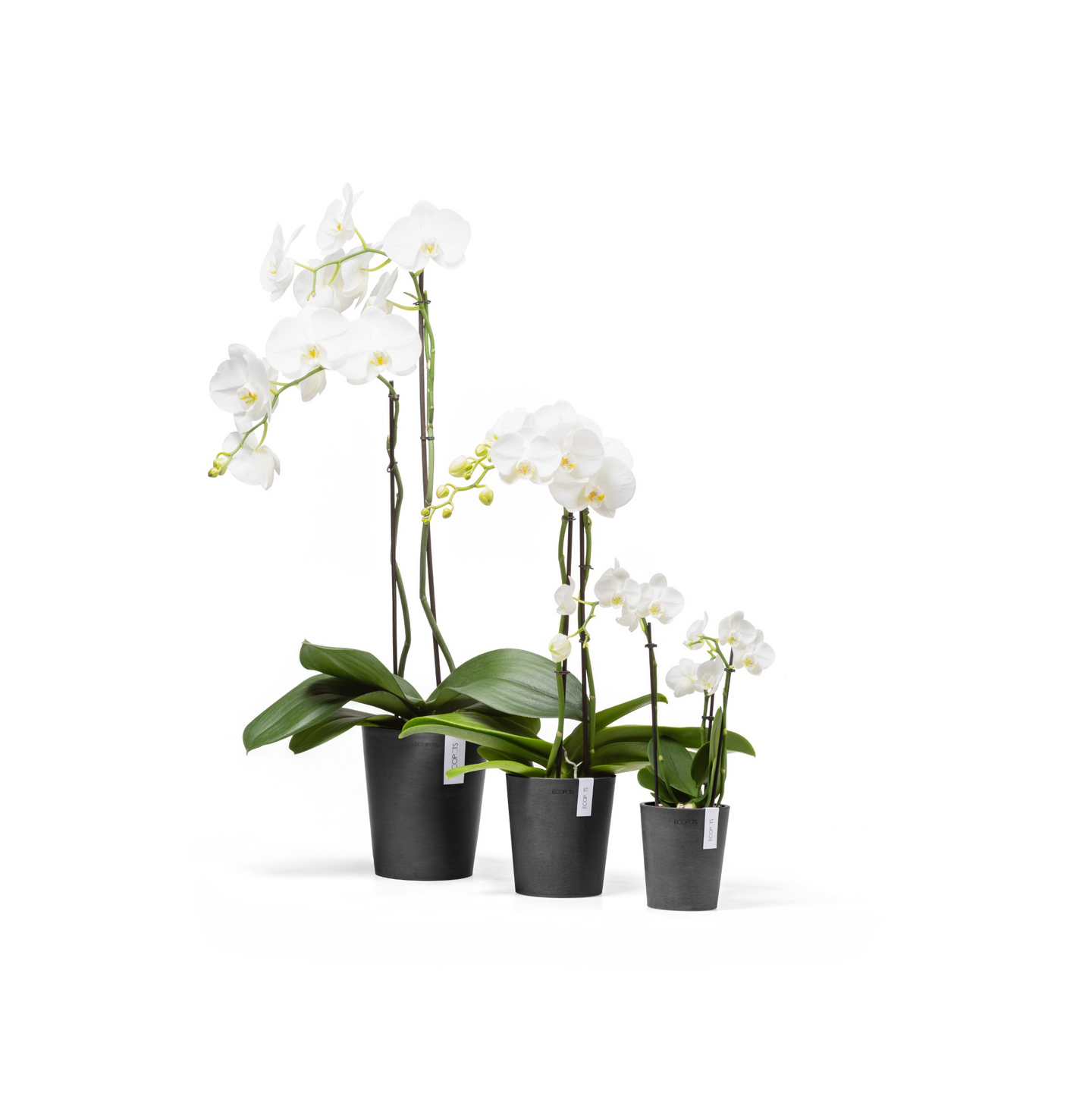 Ruukku Ecopots Morinda 14cm tummanharmaa