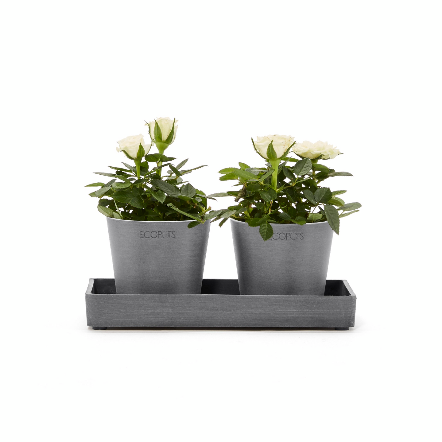 Esillepanotarjotin Ecopots 20cm harmaa