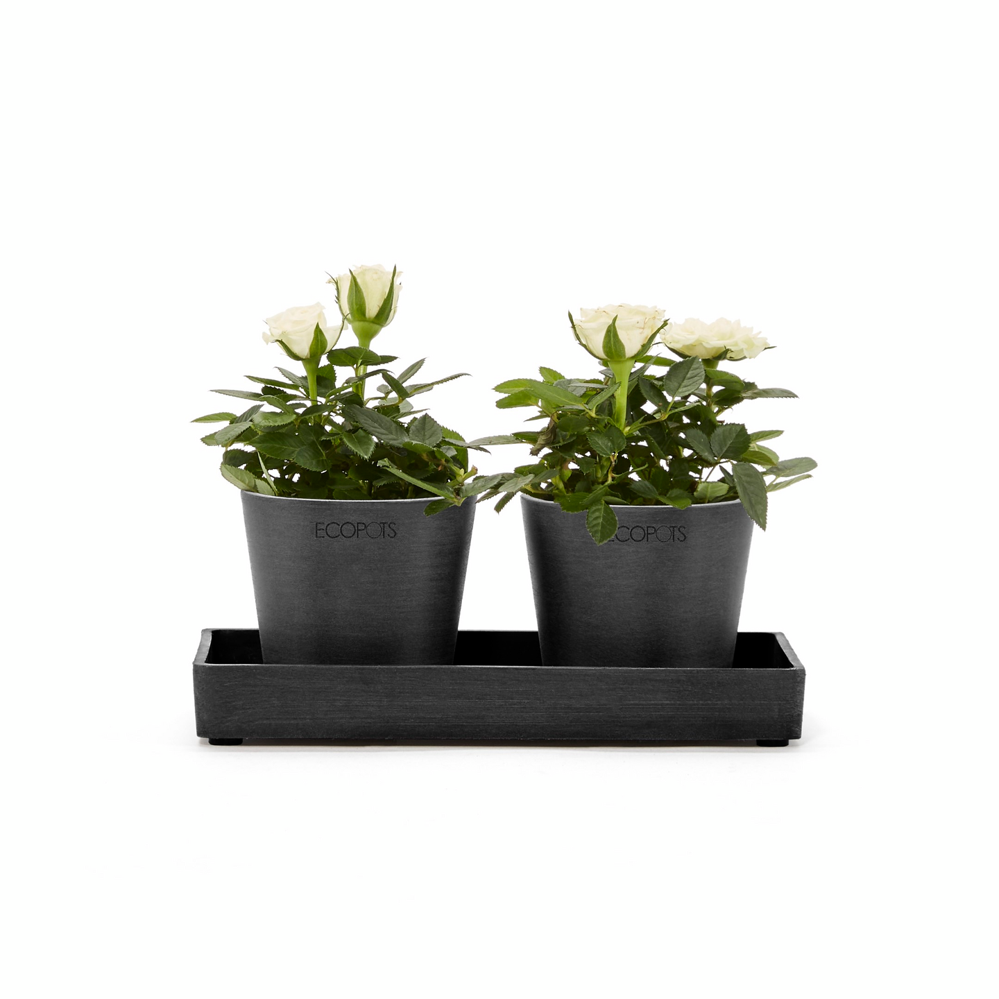 Esillepanotarjotin Ecopots 20cm tummanharmaa