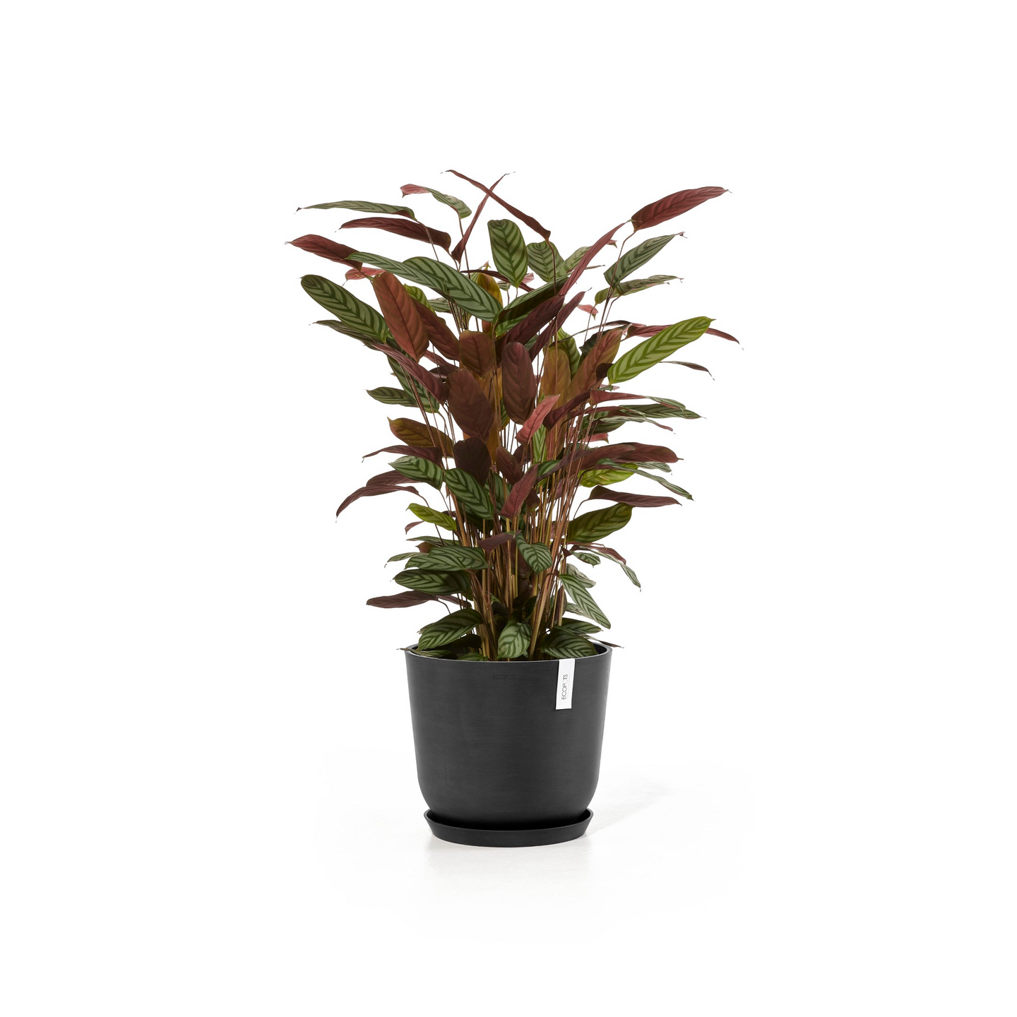 Ruukku Ecopots Oslo 35cm tummanharmaa