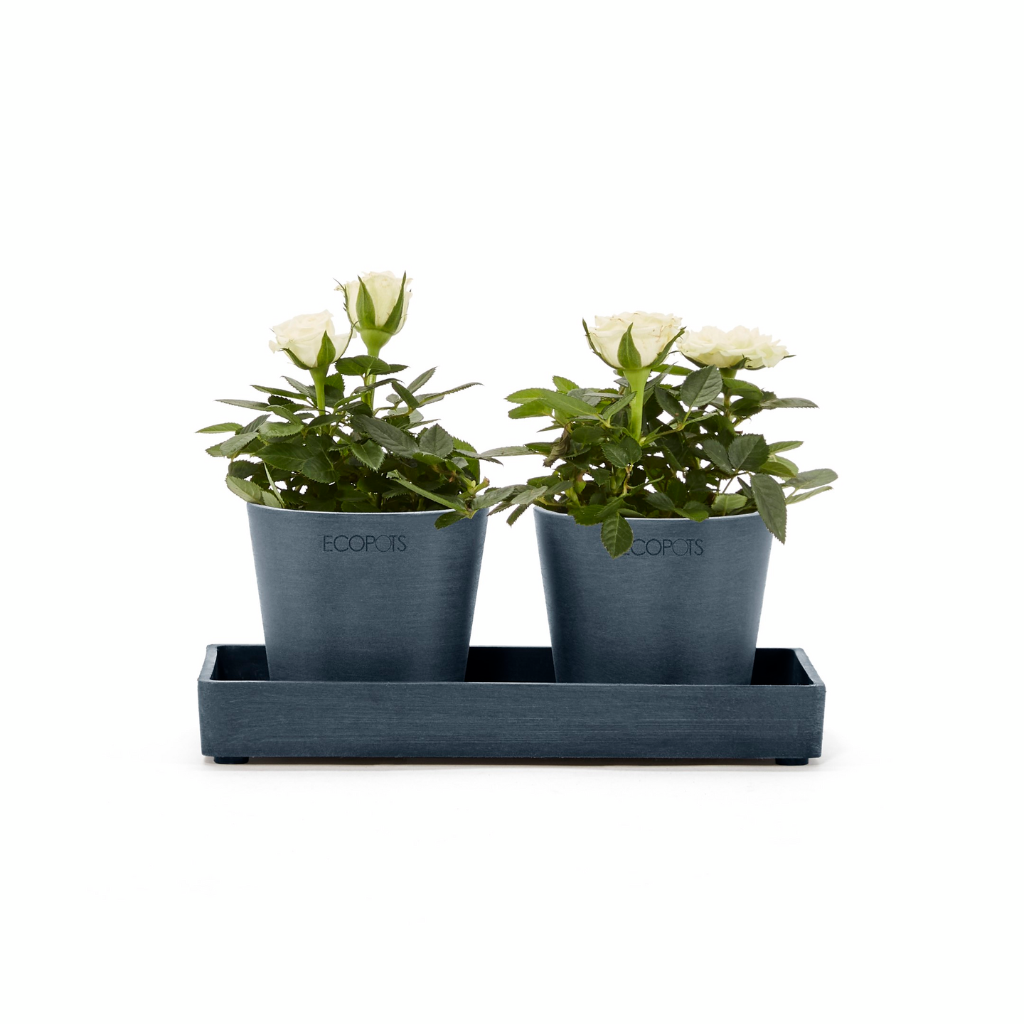 Esillepanotarjotin Ecopots 20cm tummansininen