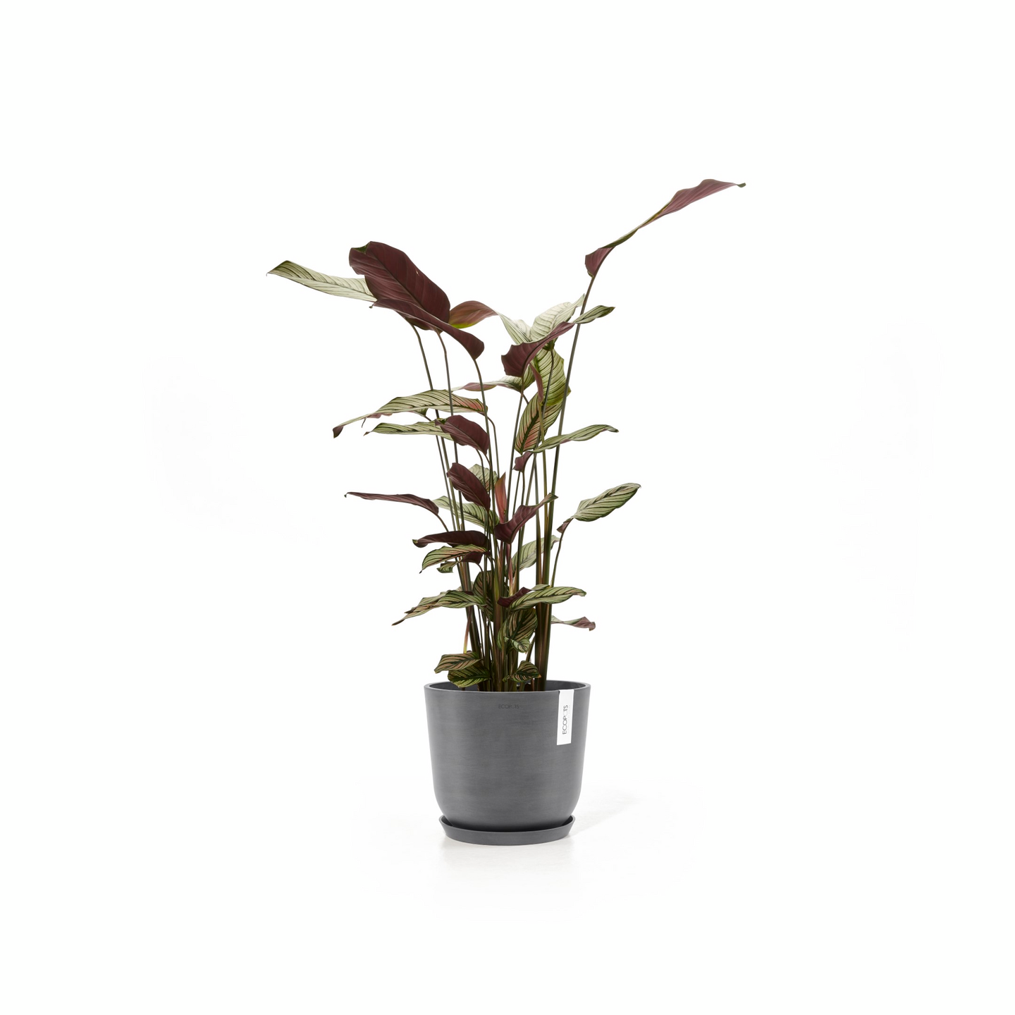 Ruukku Ecopots Oslo 25cm harmaa