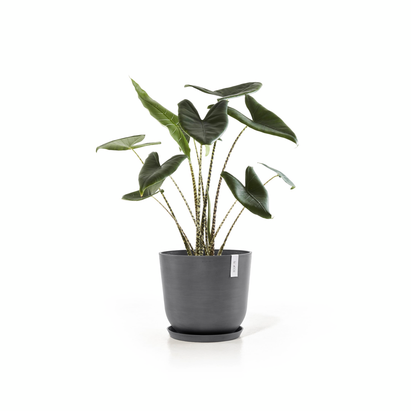 Ruukku Ecopots Oslo 45cm harmaa