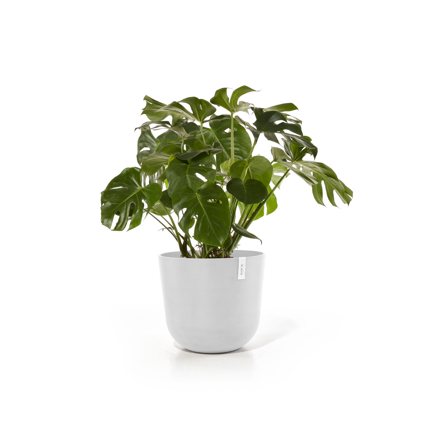 Ruukku Ecopots 55cm valkoinen