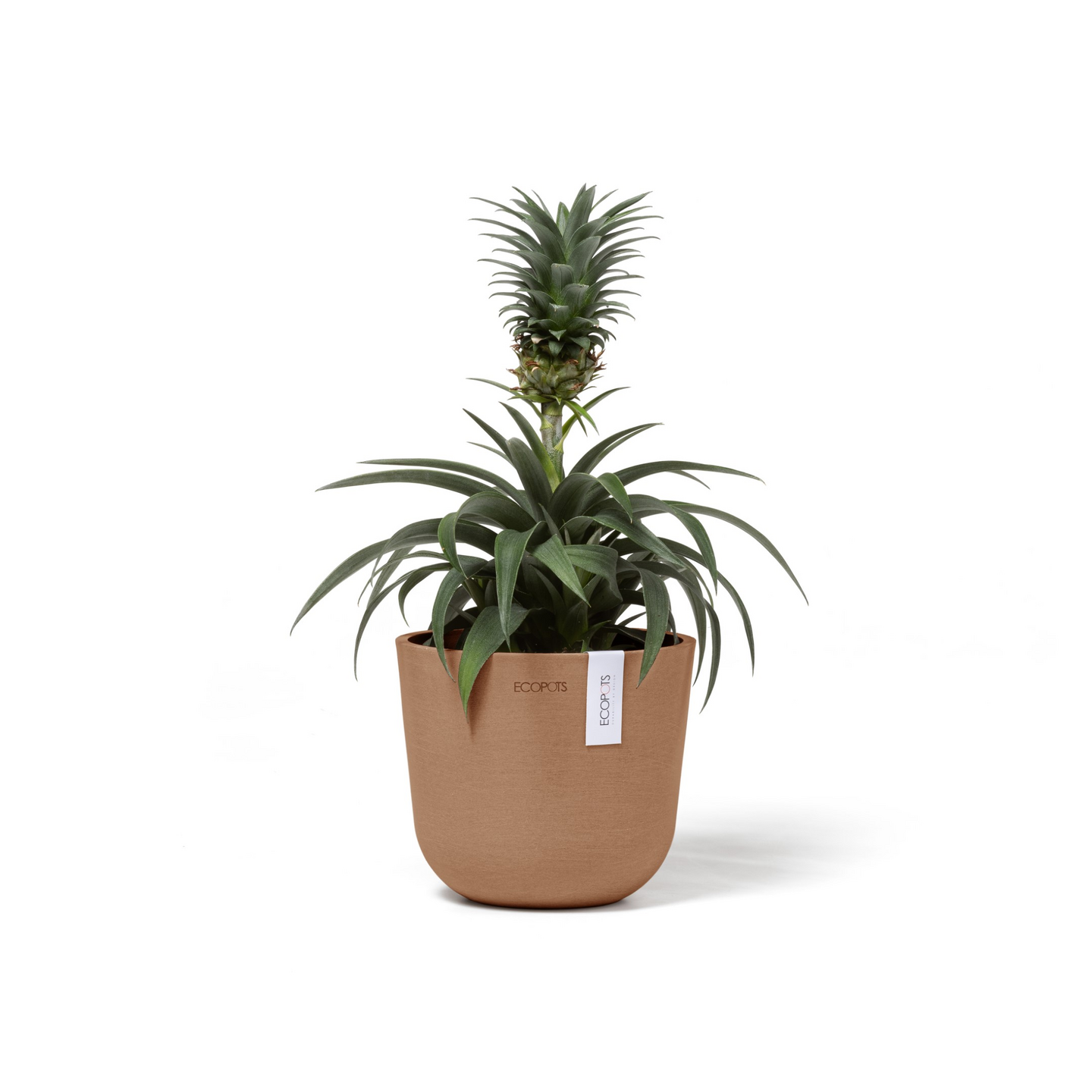 Ruukku Ecopots Oslo mini 16cm terracotta