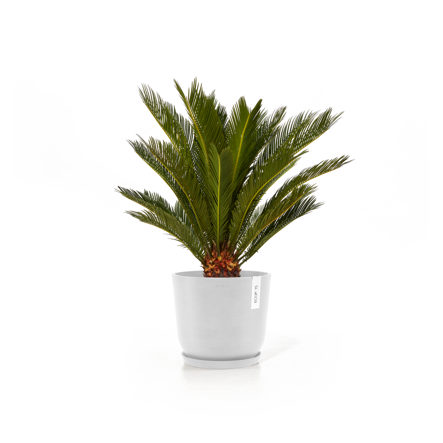 Ruukku Ecopots Oslo 25cm valkoinen