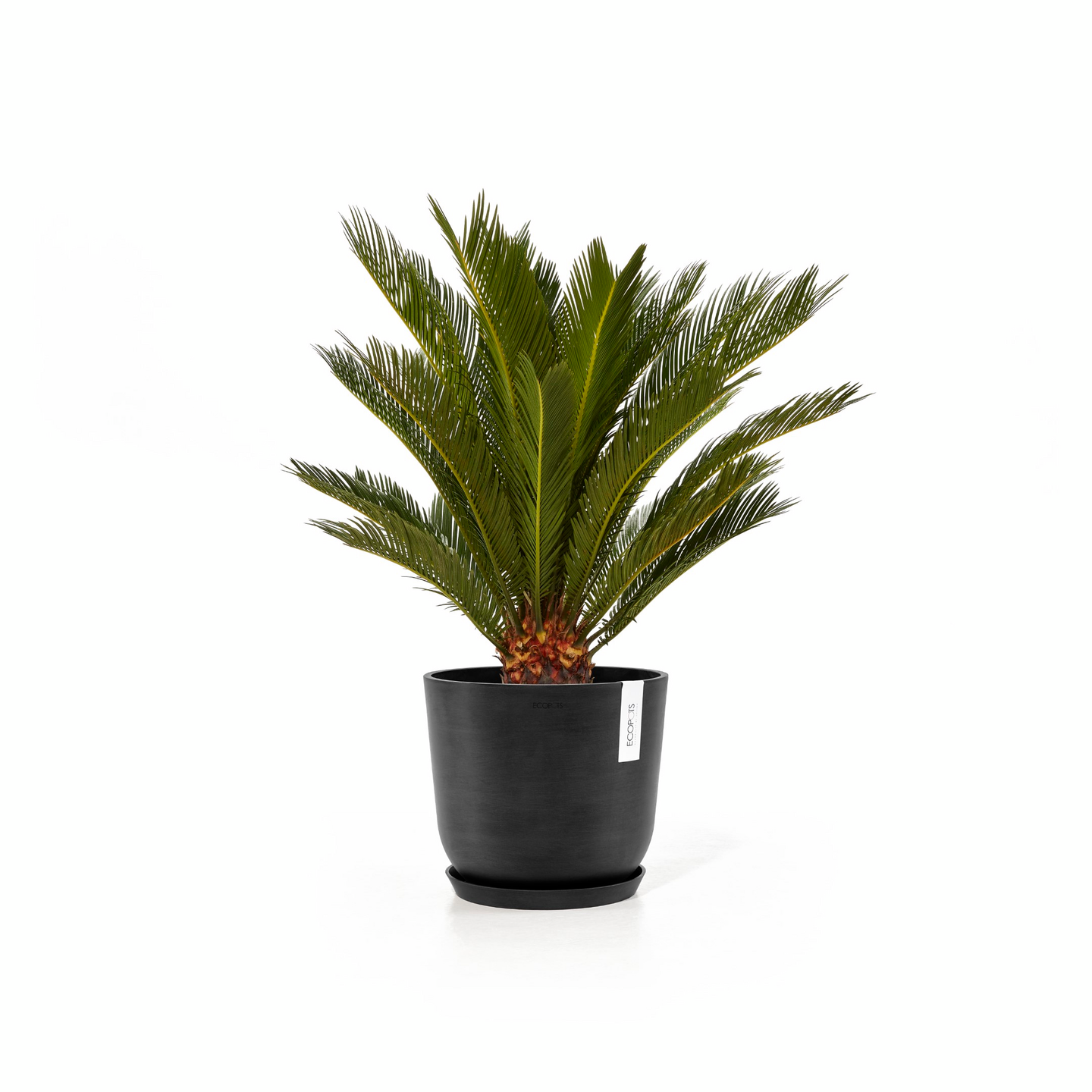 Ruukku Ecopots Oslo 25cm tummanharmaa