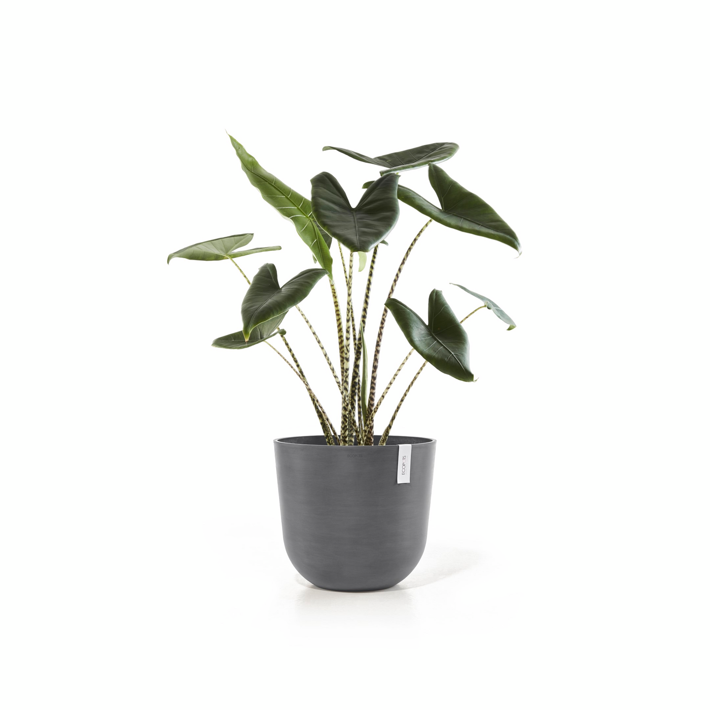 Ruukku Ecopots Oslo 45cm harmaa