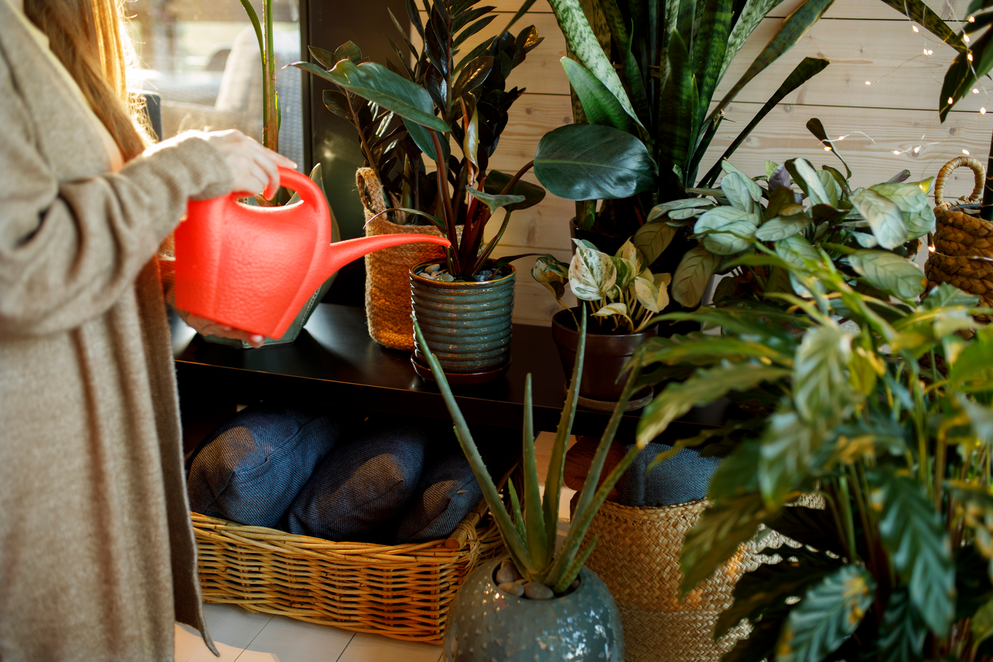 Kasviravinne Kekkilä 400ml