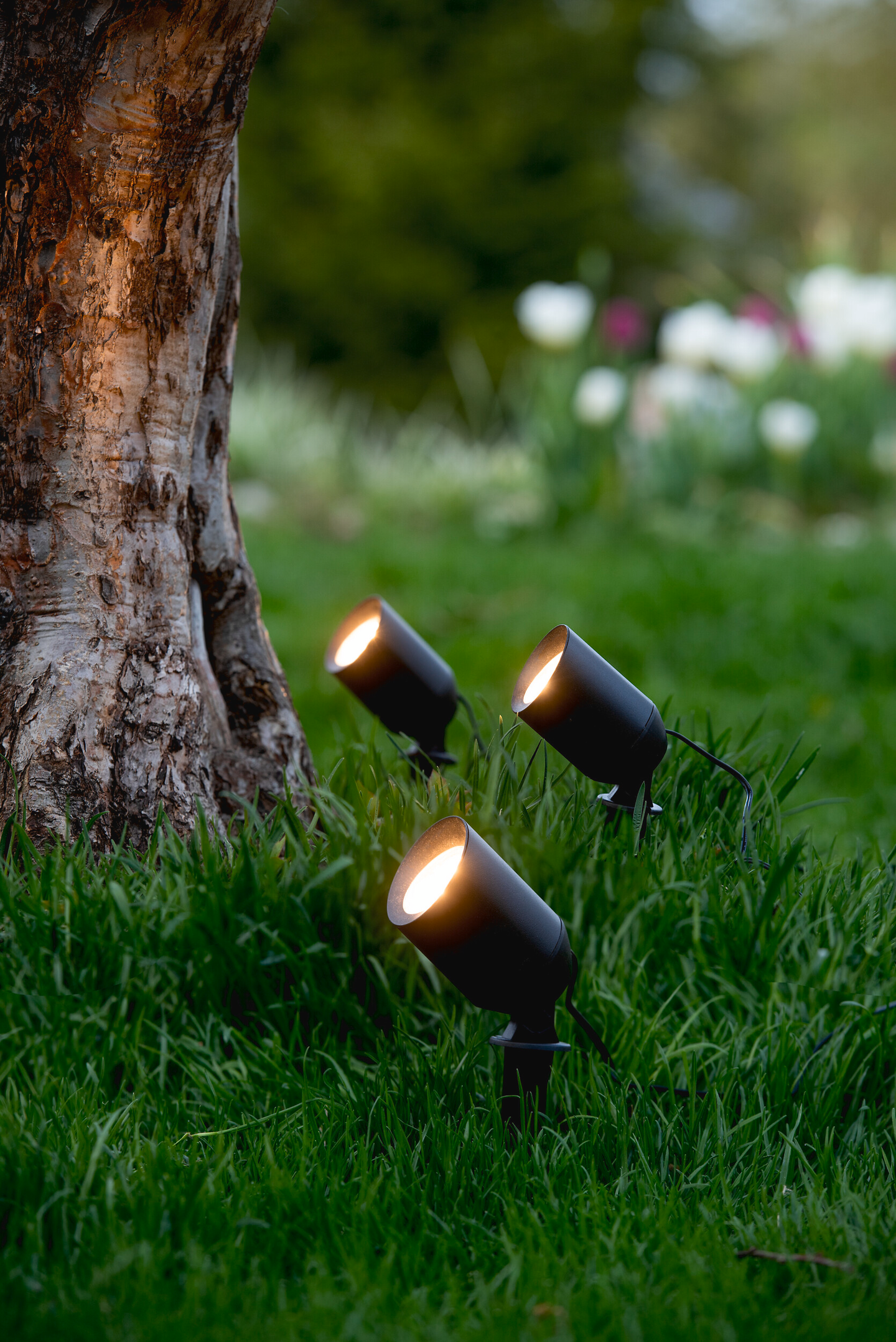 Kohdevalaisin Airam Lucio 3000K 1,5W musta 3kpl