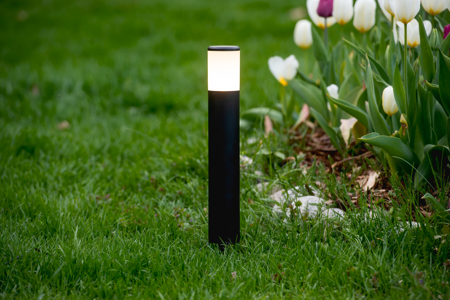 Pollarivalaisin Airam Lucio 3000K 1W musta 3kpl