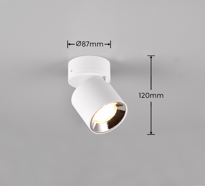 Spotti TRIO Guayana GU10 1-osainen mattavalkoinen