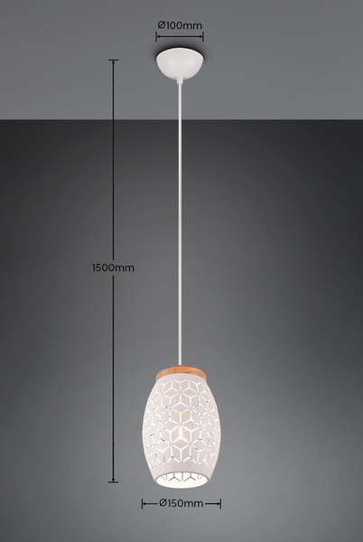 Riippuvalaisin TRIO Bidar E27 1-osainen mattavalkoinen