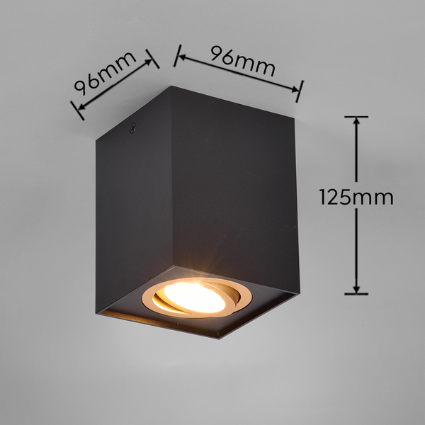 Kattovalaisin TRIO Biscuit GU10 1-osainen musta/kulta