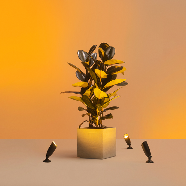 Ulkokohdevalaisin WiZ 540lm 10W 2700-5000K RGB aloituspakkaus