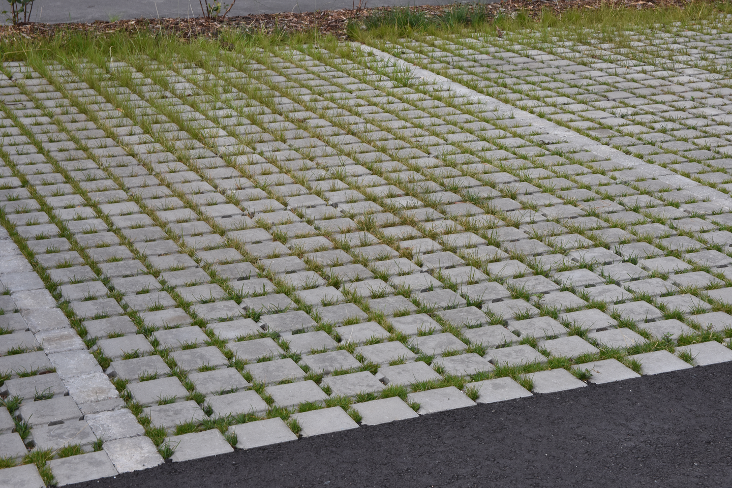 Nurmikivi Lakka 80 harmaa