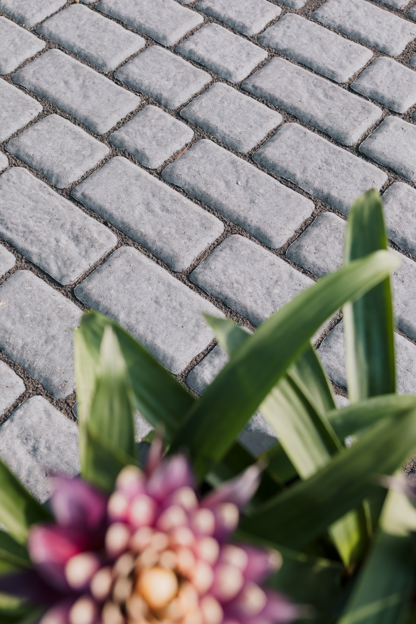 Loimuhulekivet 80 Lakka musta