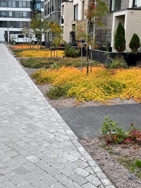 Antiikkikivi Lakka 60 puolikas harmaa