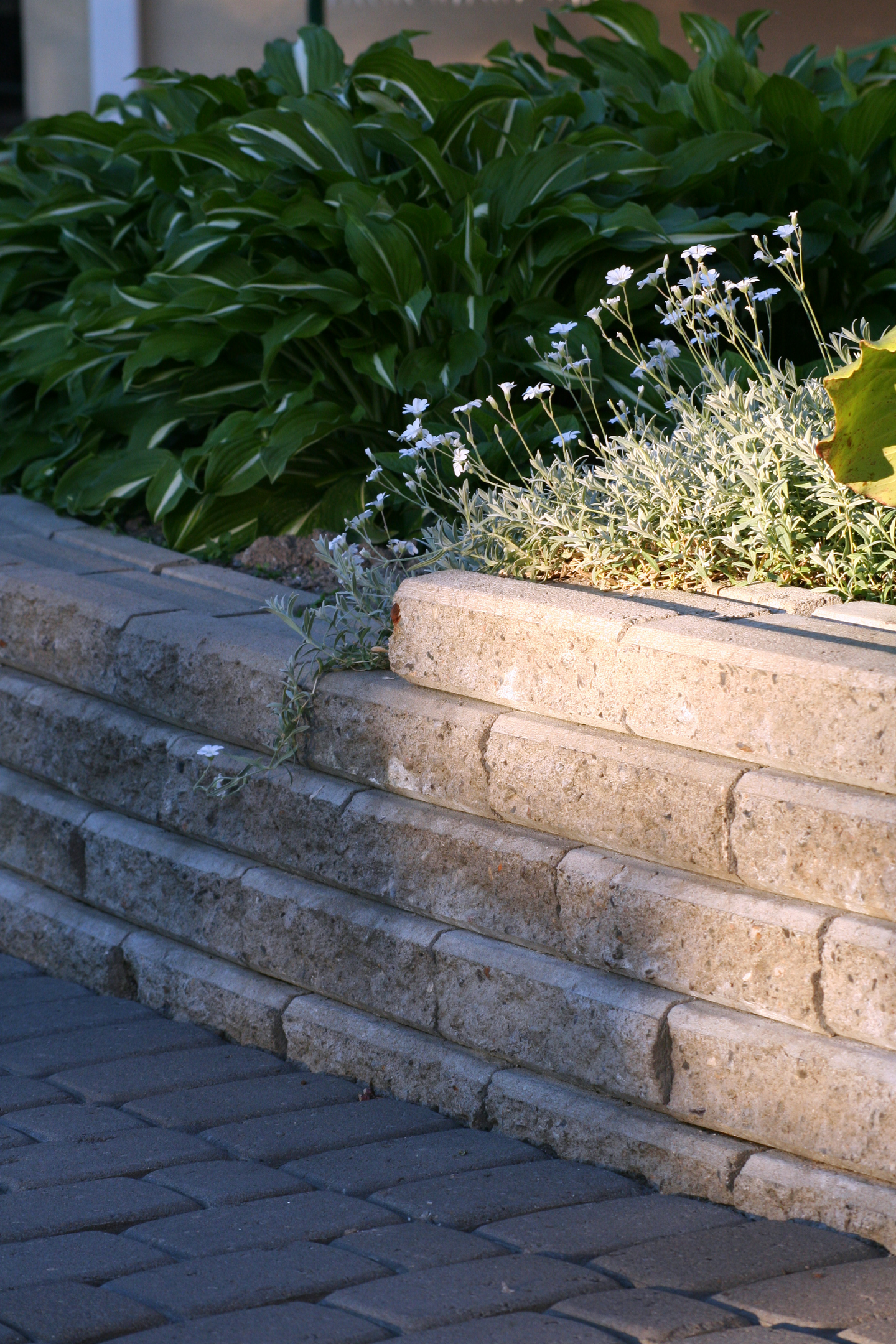 Muurikivi Lakka harmaa 300x360x80mm