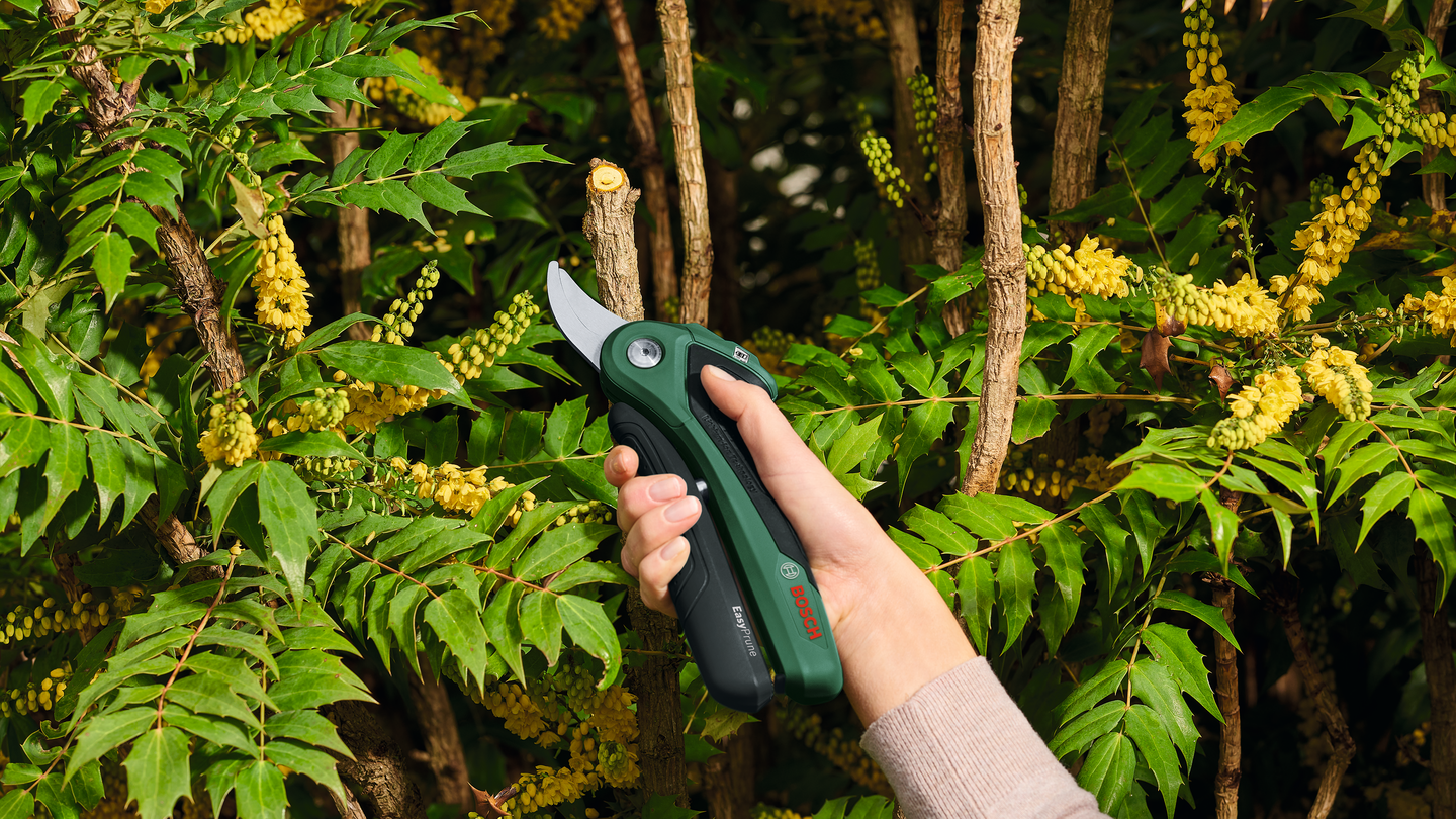 Akkuoksasakset Bosch EasyPrune 3,6V