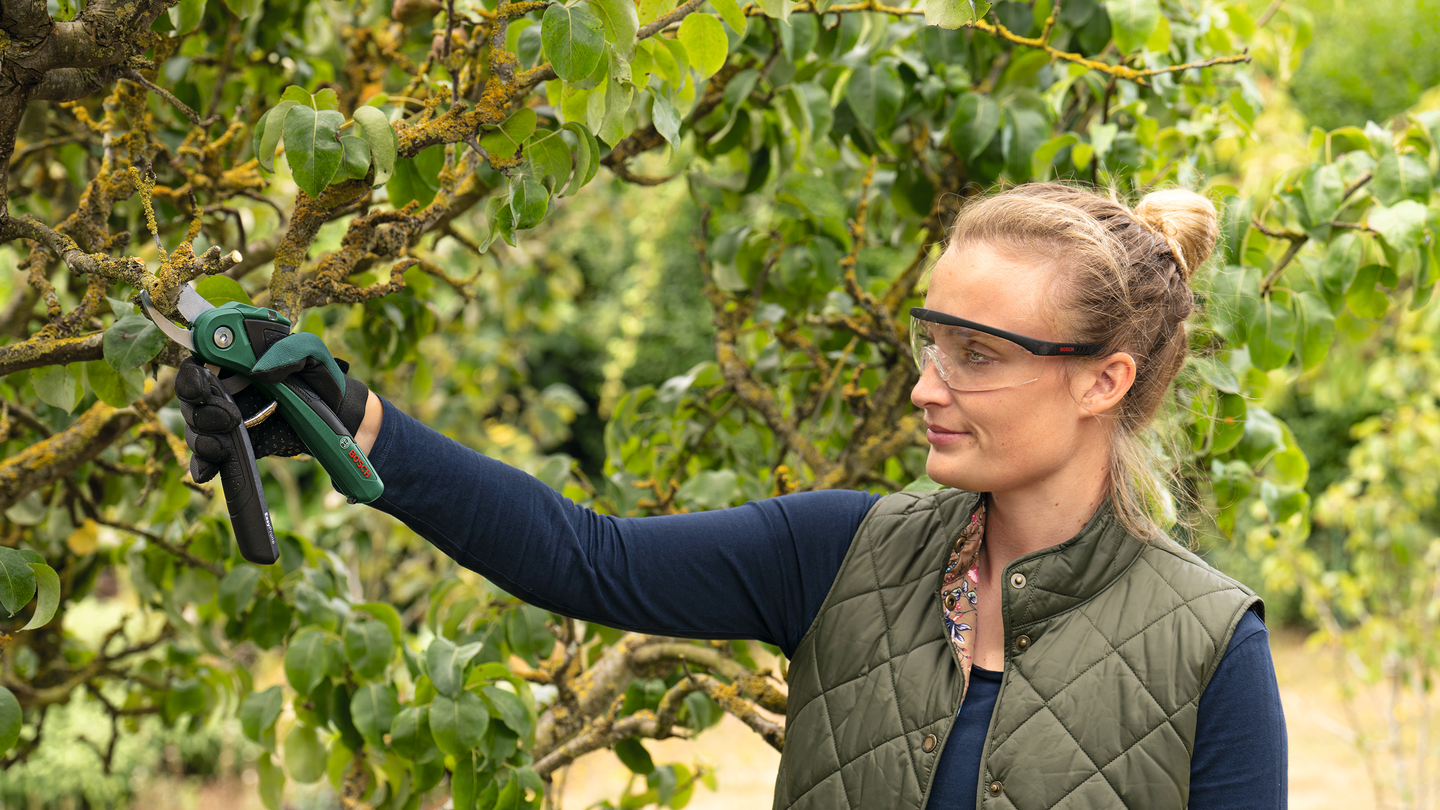 Akkuoksasakset Bosch EasyPrune 3,6V