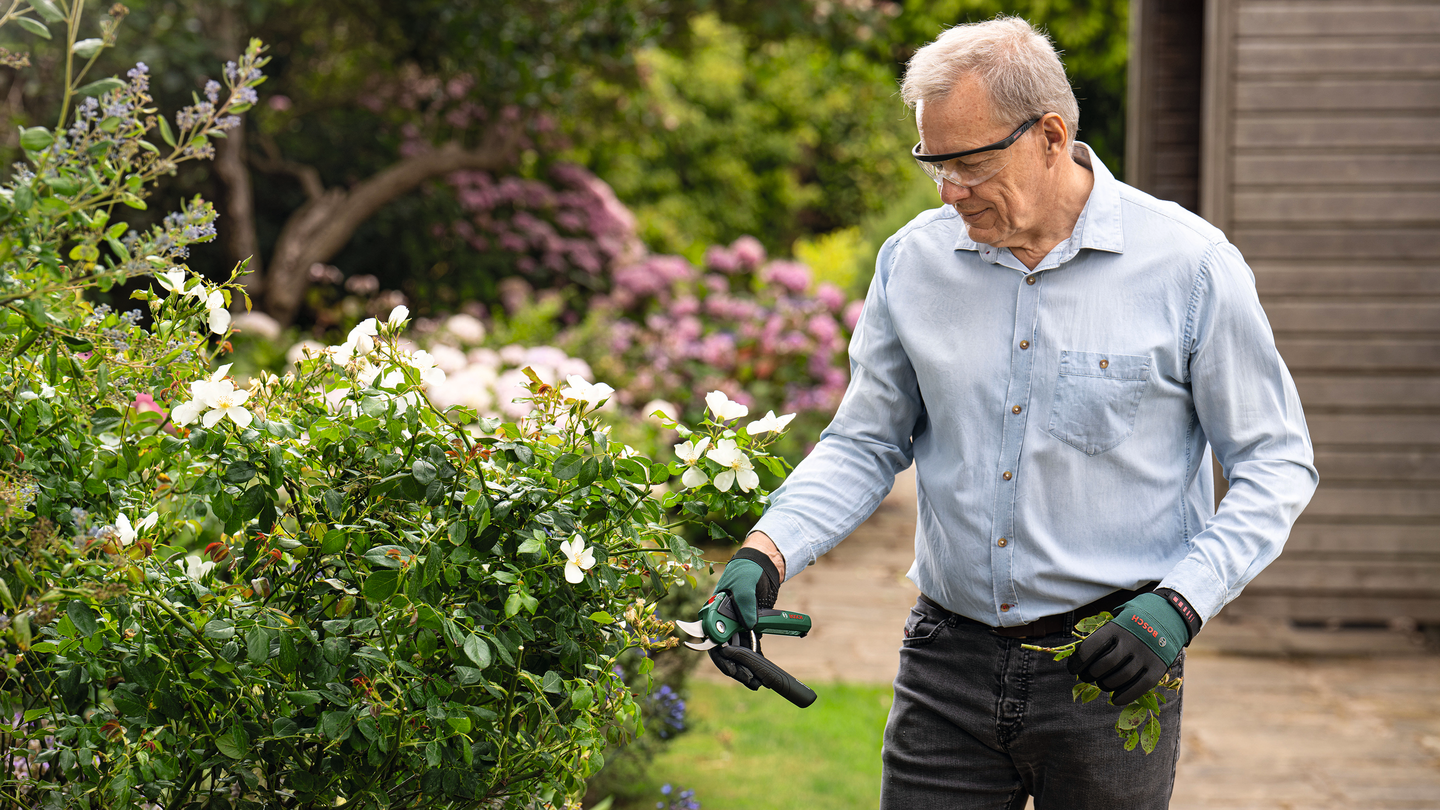 Akkuoksasakset Bosch EasyPrune 3,6V