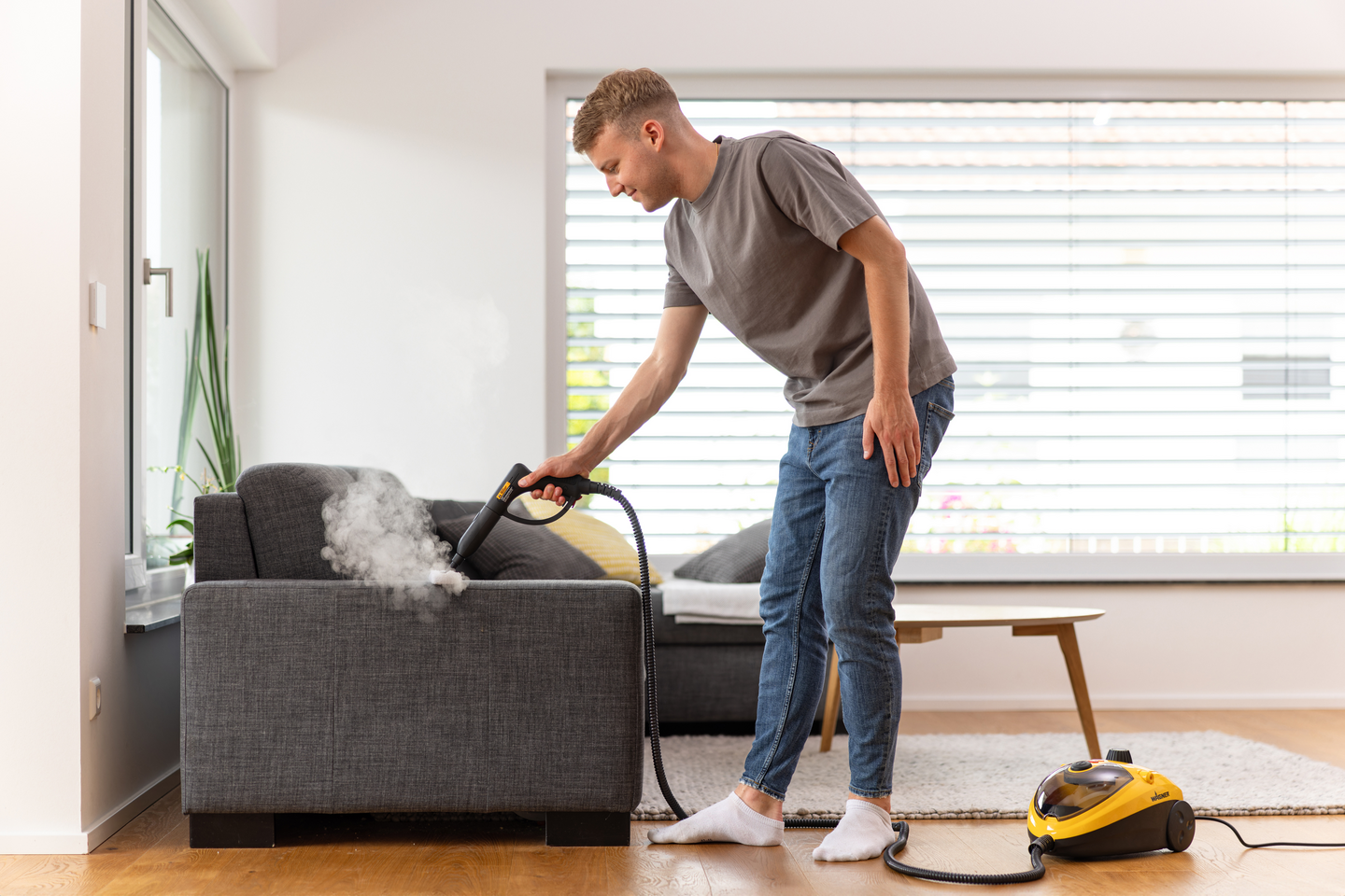 Höyrypuhdistin Wagner Power Steamer 915e