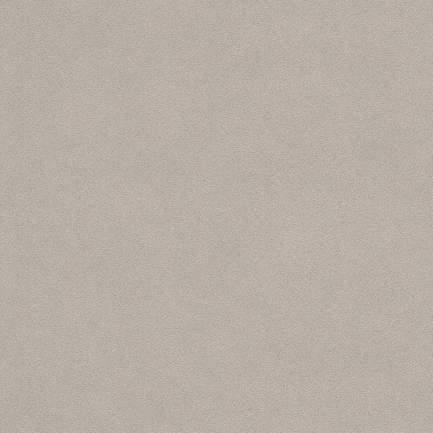 Vinyylitapetti Rasch Olohuoneet 2025 479409 10,05m