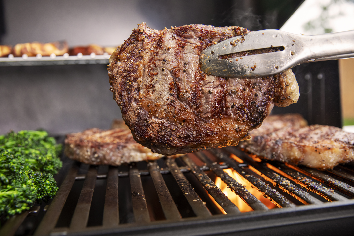 Kaasugrilli Weber Genesis E-315