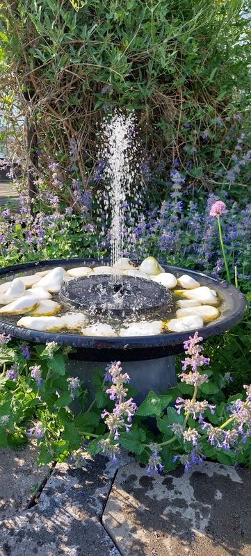 Suihkulähde Cello Lampi led valoilla, aurinkopaneelilla ja akulla