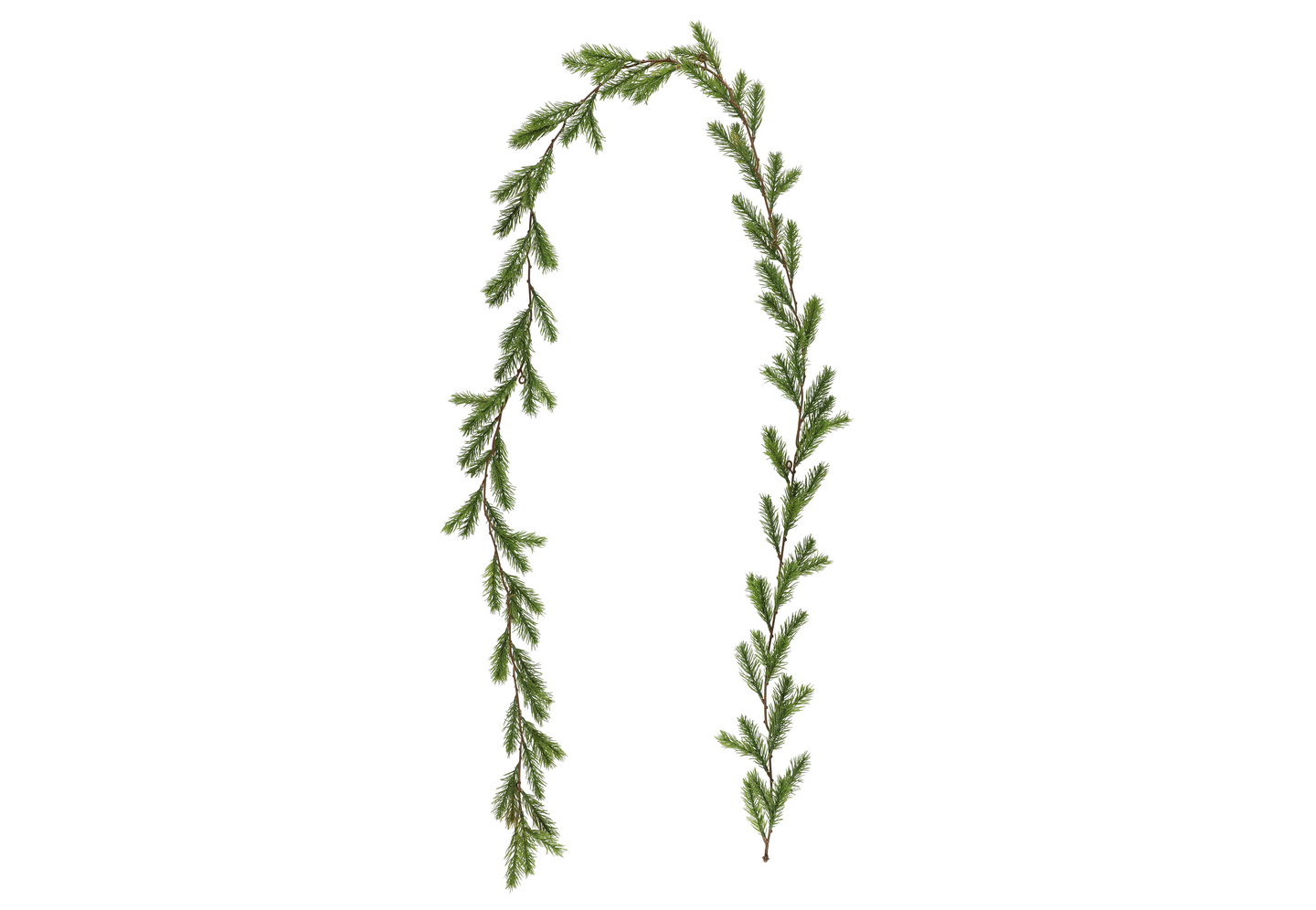 Köynnös Winteria kuusi 180cm