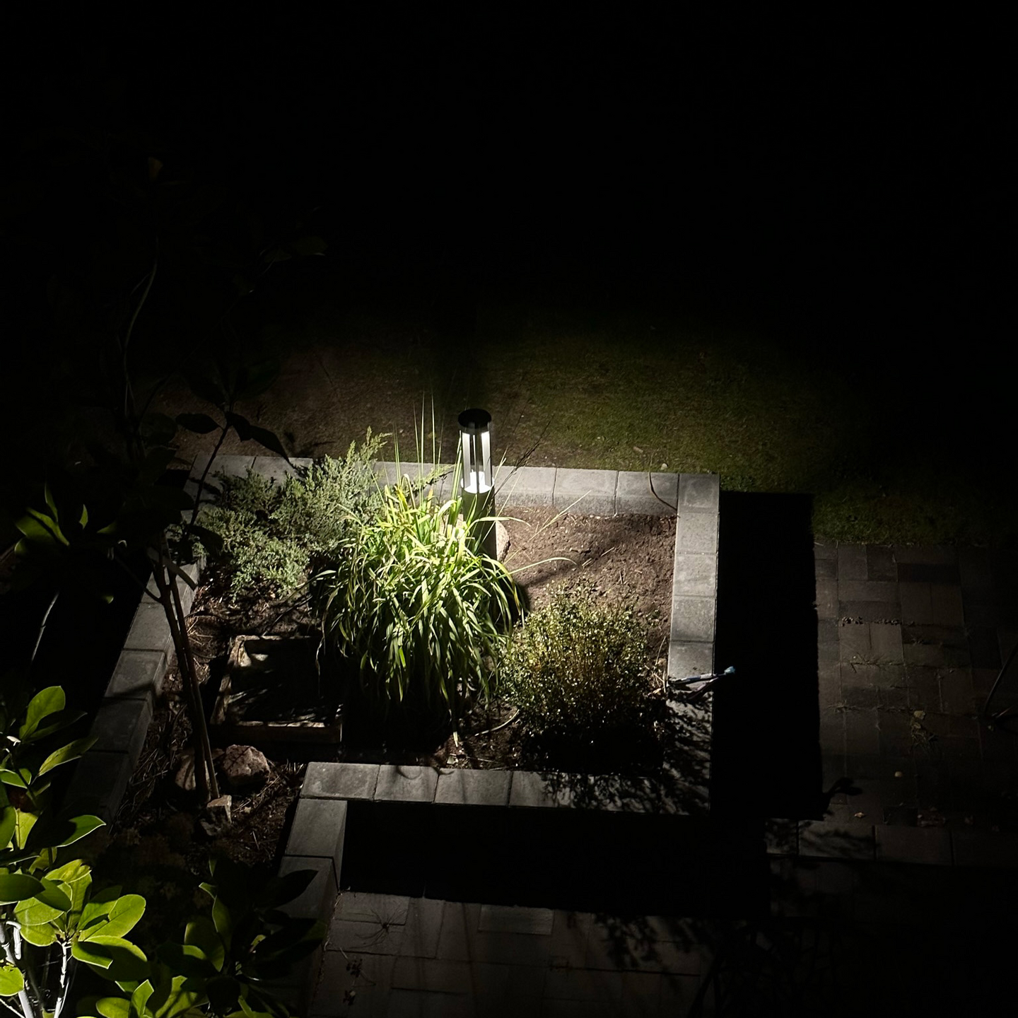 HELIX POLLARE LIGHTSON