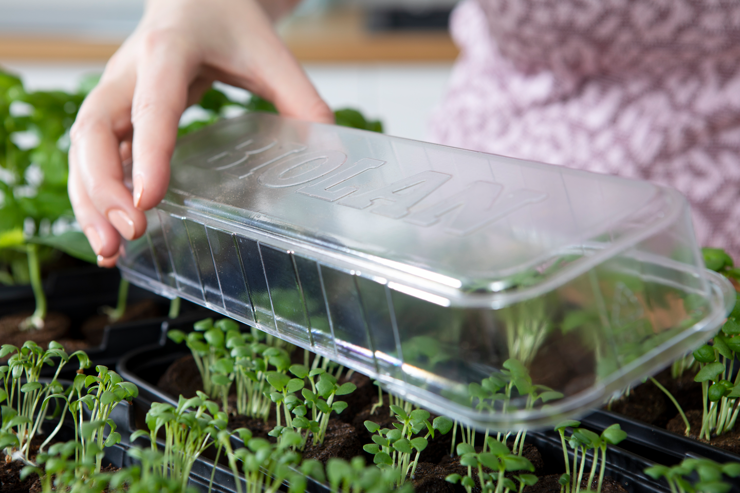 Pienoiskasvihuone Biolan