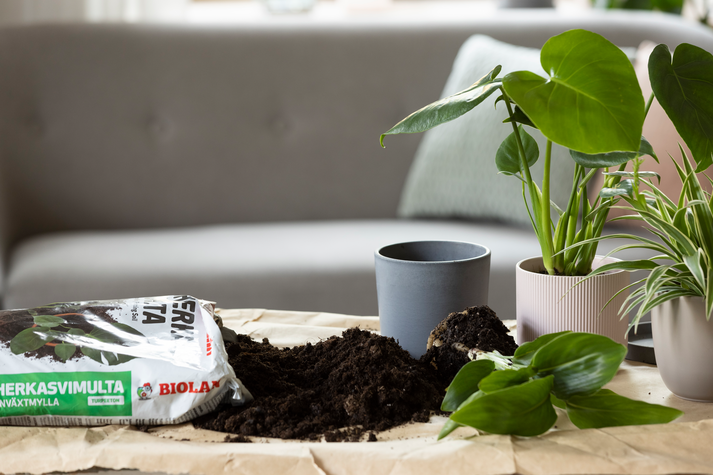 Viherkasvimulta Biolan turpeeton 24l