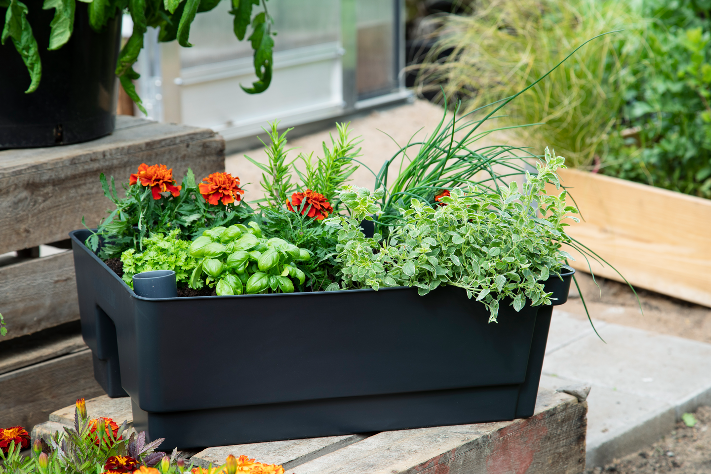 Kasvatusallas Biolan