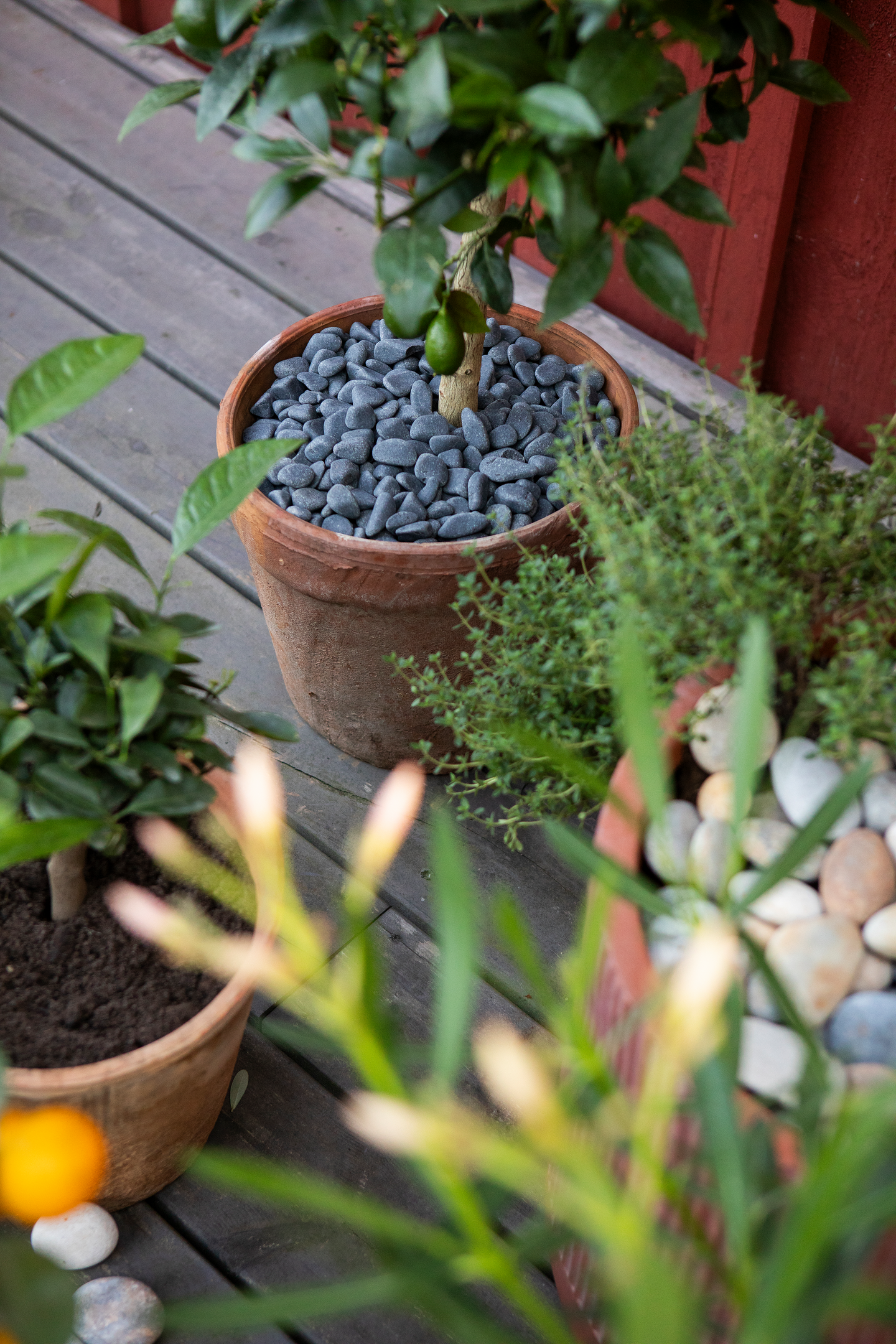 Koristekivi Kekkilä harmaa basaltti 10kg