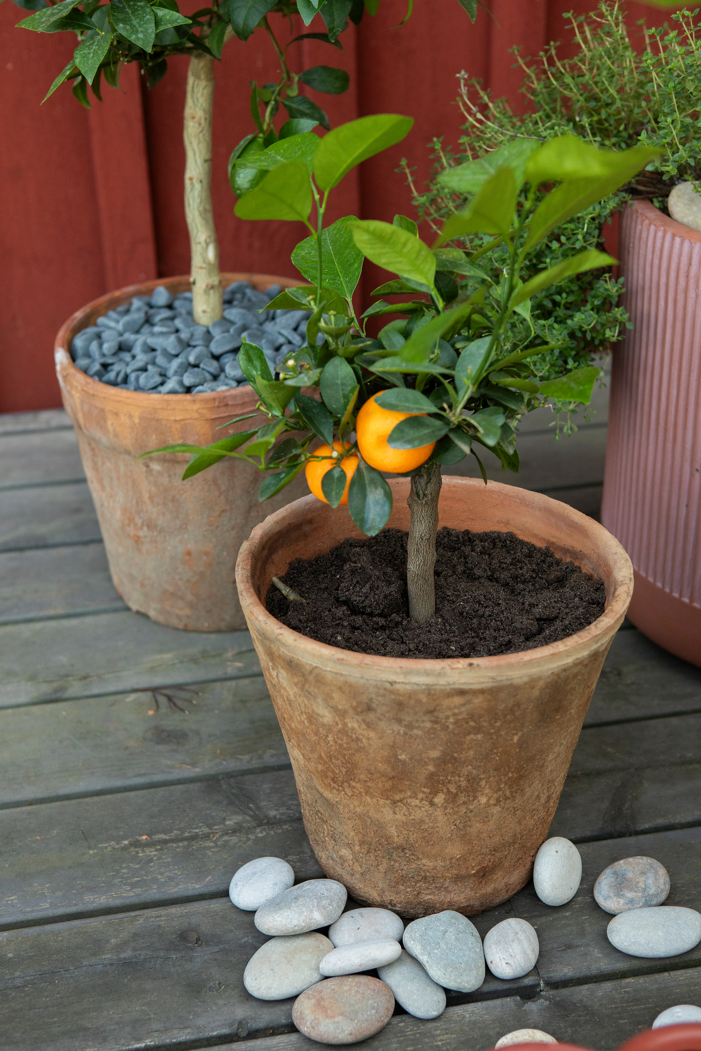 Koristekivi Kekkilä harmaa basaltti 10kg