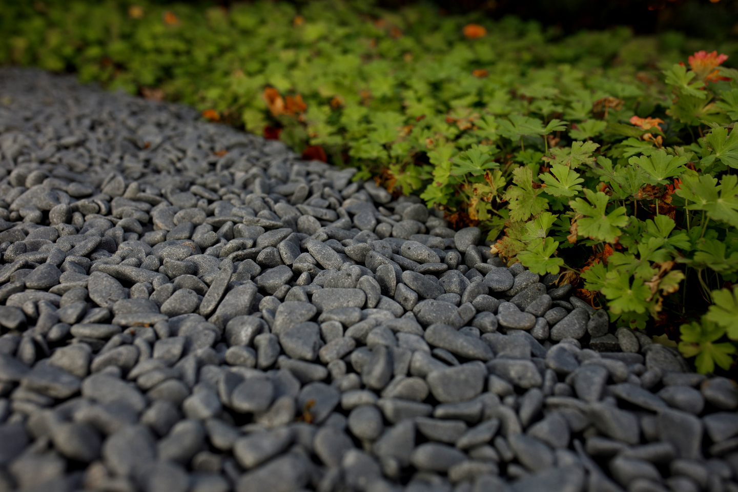 Koristekivi Kekkilä harmaa basaltti 10kg