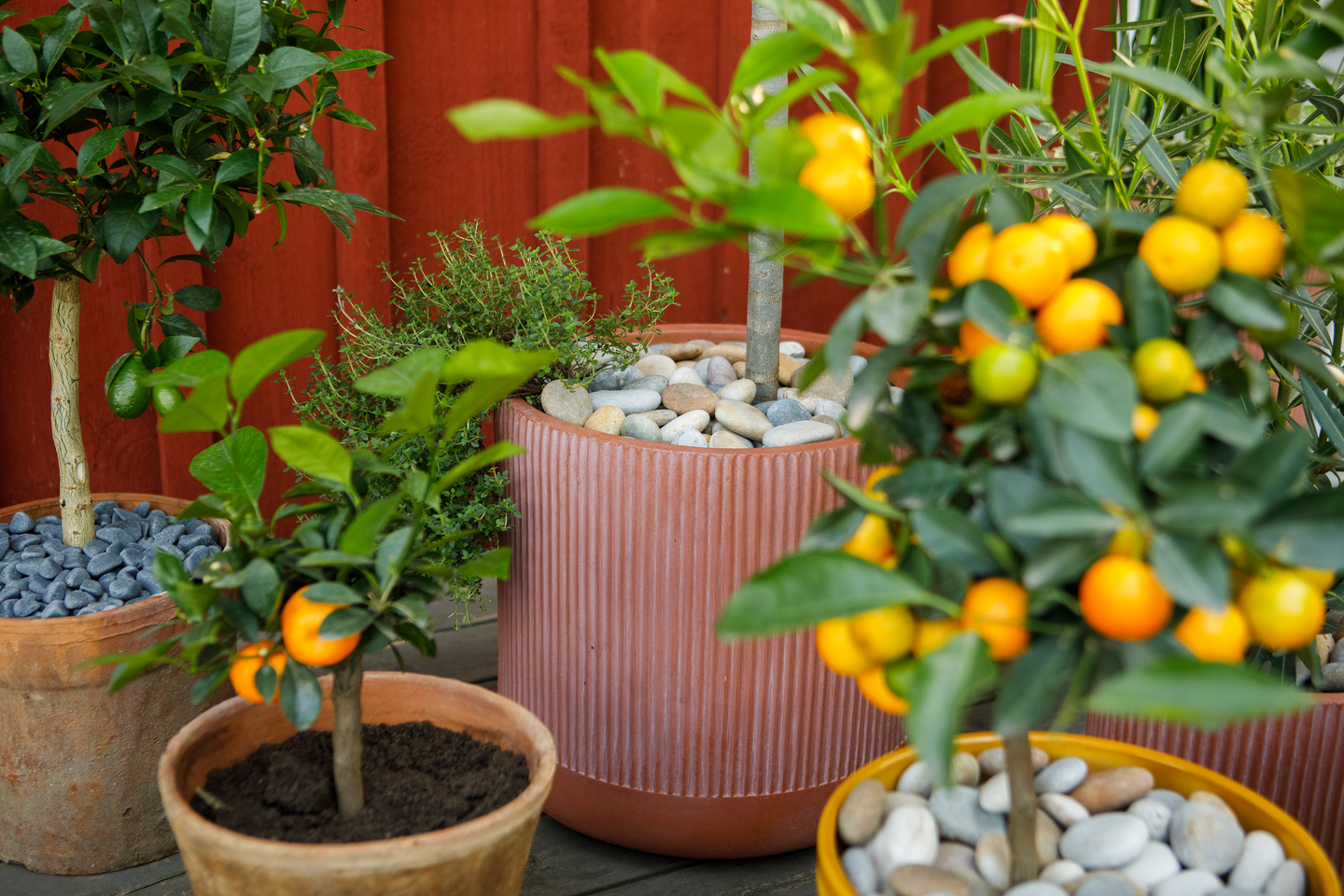 Välimerenmulta Kekkilä 15l