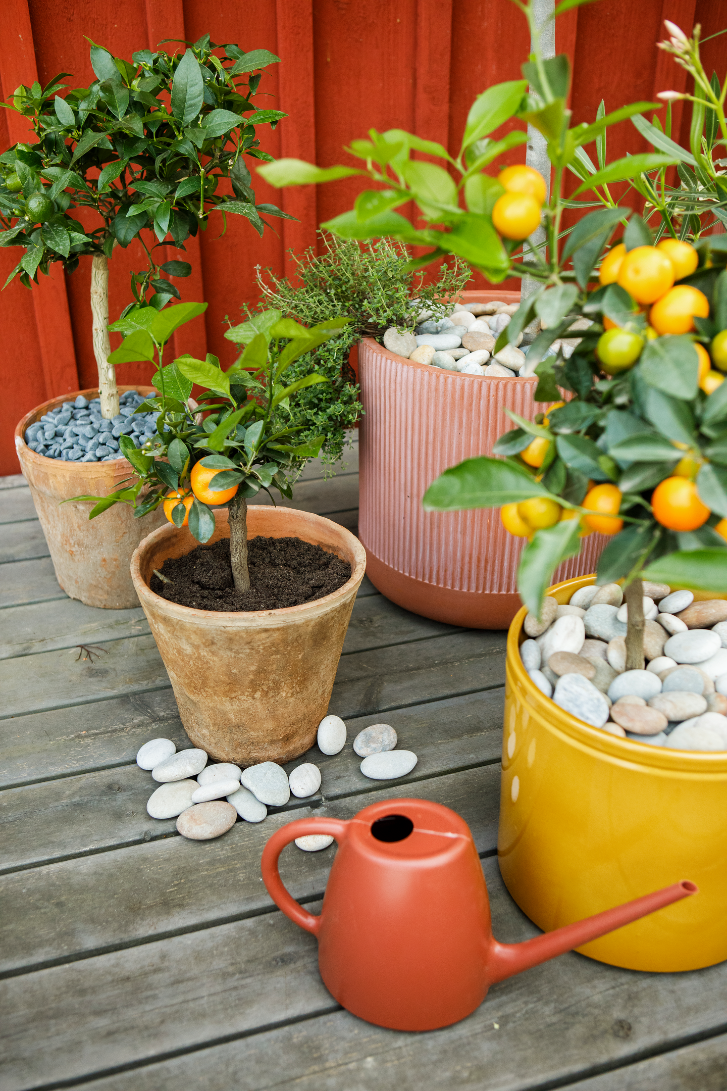 Välimerenmulta Kekkilä 15l