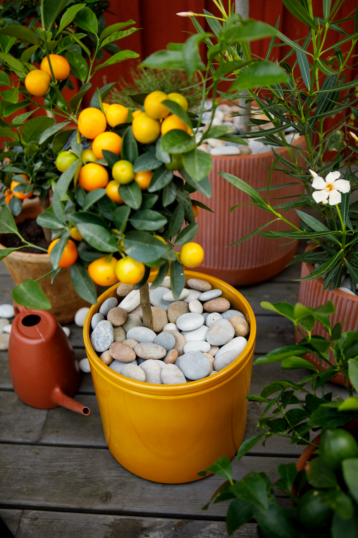 Välimerenmulta Kekkilä 15l