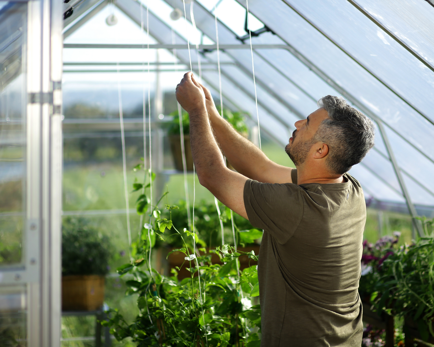 Kasvihuone Canopia Balance 14,3m² hopea