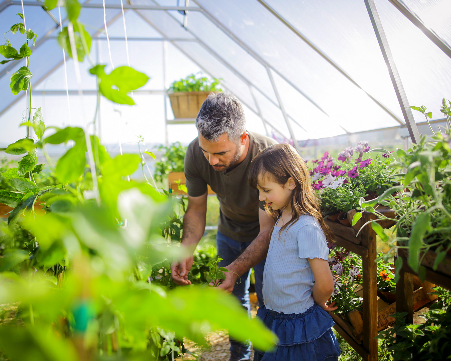 Kasvihuone Canopia Balance 14,3m² hopea