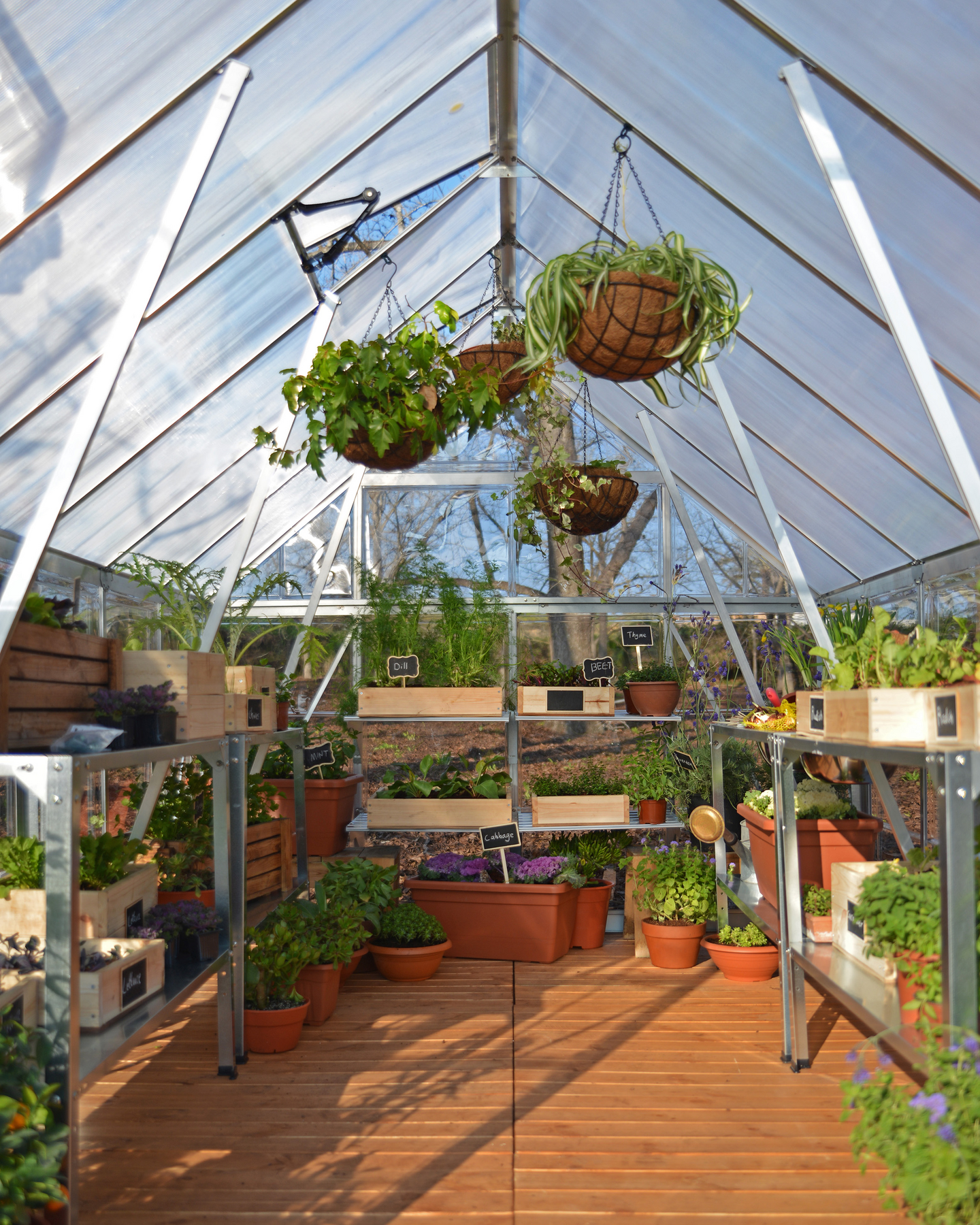 Kasvihuone Canopia Balance 14,8m² hopea