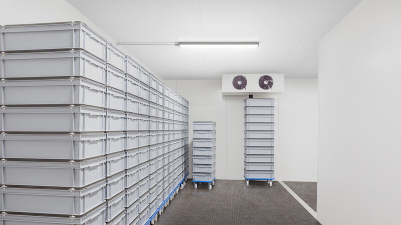 Teollisuusvalaisin Philips Ledinaire suljettu Led56s/840 PSU TW1 L1500