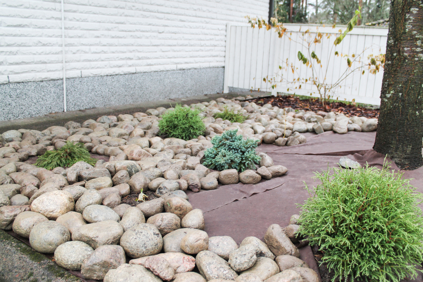 Biohajoava maisemointikangas 100m²